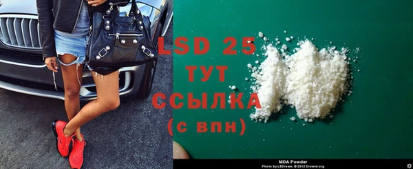 стафф Алзамай