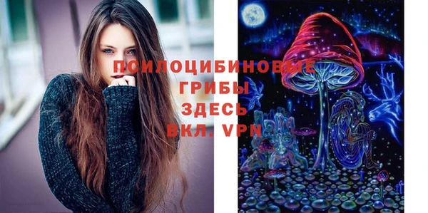 метамфетамин Алексеевка