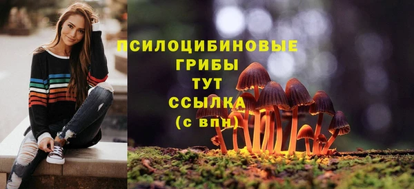 экстази Абаза
