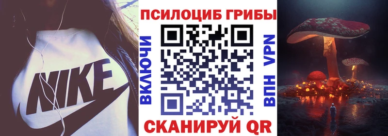 Псилоцибиновые грибы Cubensis  где продают   Чухлома 