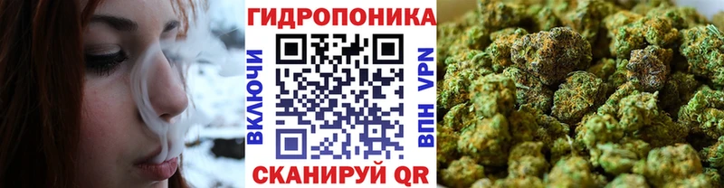 Бошки марихуана план  Чухлома 